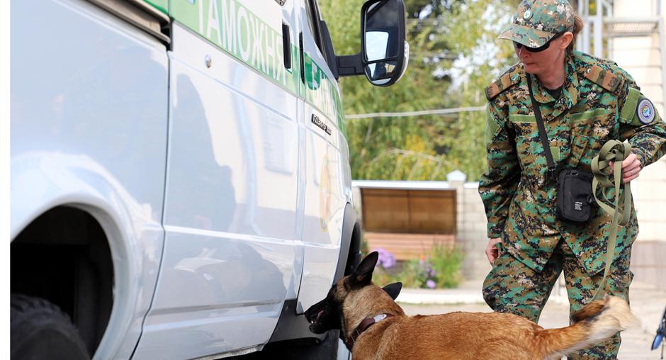 A K-9 officer and her search dog detect illegal items hidden in the van during an OSCE-supported three-week train-the-trainers seminar at the World Customs Organization’s Regional Training Centre in Bishkek. (OSCE/Chyngyz Zhanybekov) 